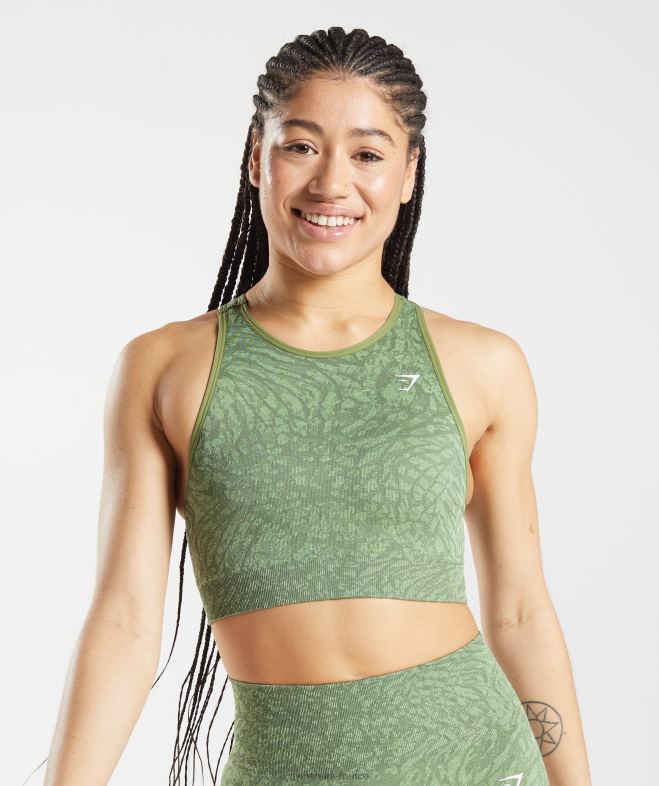 Gymshark adapter le soutien-gorge de sport sans couture animal sauvage | iguane vert femmes 6HF28203